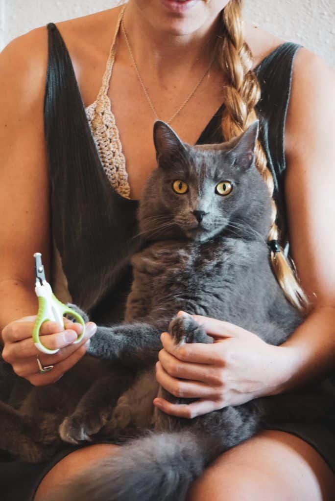 Stainless Steel Blades Speaking of blades, the ones on the Shiny Pet nail clippers are sharp and clean. The design is really simple - again, something we appreciate when taking care of Yoda.