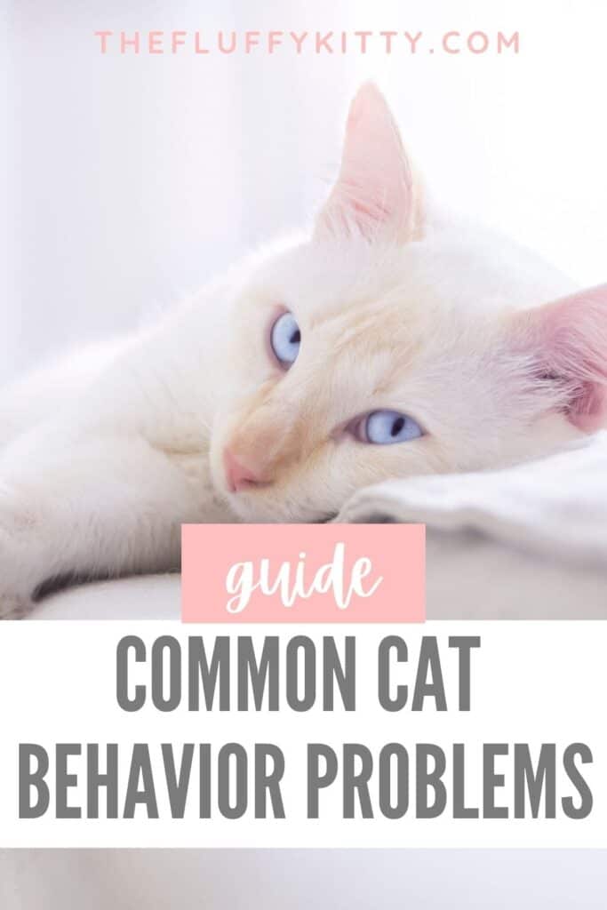 white cat with text overlay common behavior problems in cats
