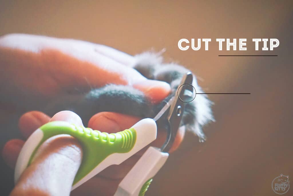 Shiny Pet Nail Clippers for Cats and Small Pets | Fluffy Kitty