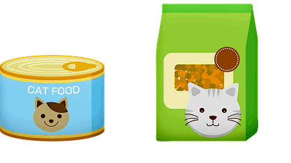 Food Cats Can't Eat | Fluffy Kitty