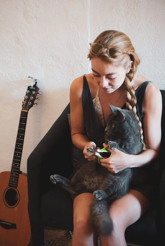 Shiny Pet Nail Clippers for Cats and Small Pets | Fluffy Kitty