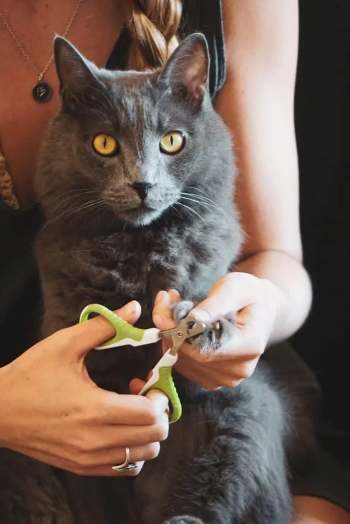 Shiny Pet Nail Clippers for Cats and Small Pets | Fluffy Kitty