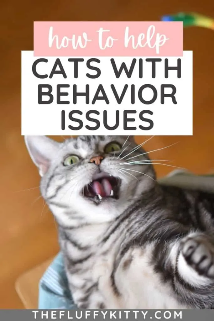 excited cat with behavior issues with text overlay