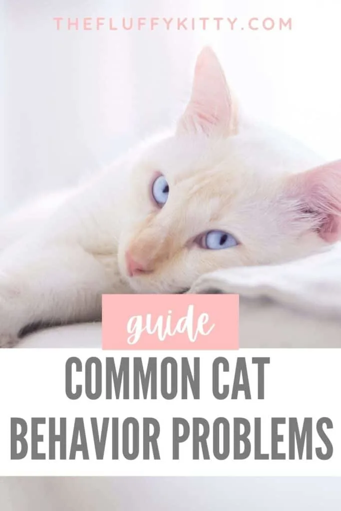 white cat with text overlay common behavior problems in cats