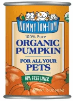 Cat Food for Sensitive Stomachs | Fluffy Kitty